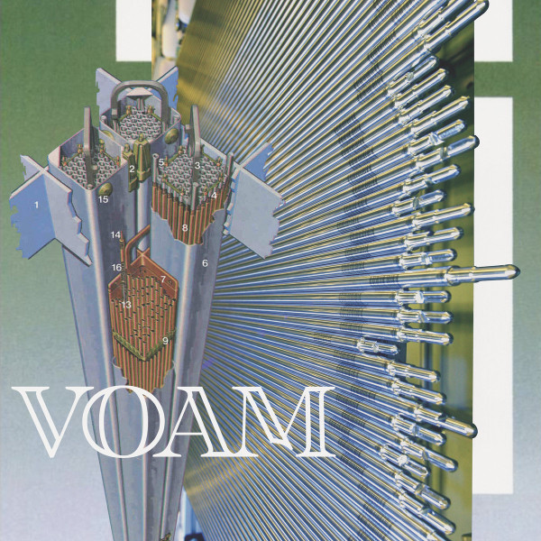 Regina Leather - Portraits Of A Collective Hallucination | Voam (VOAM005) Regina Leather - Portraits Of A Collective Hallucination | Voam (VOAM005)