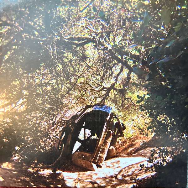 Ty Segall - Possession | Drag City (DC915)