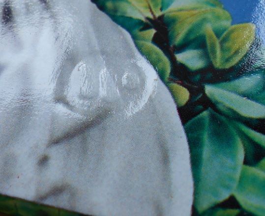 Prince - Graffiti Bridge | Paisley Park (7599-27493-1) - 19 Prince - Graffiti Bridge | Paisley Park (7599-27493-1) - 19