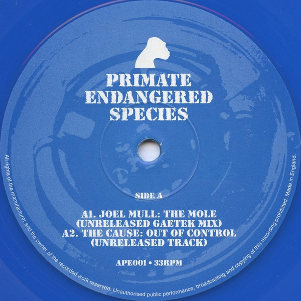 Various - Primate Endangered Species | Primate Endangered Species (APE001) - 3