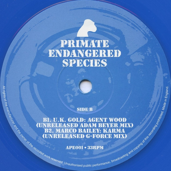 Various - Primate Endangered Species | Primate Endangered Species (APE001) - 4