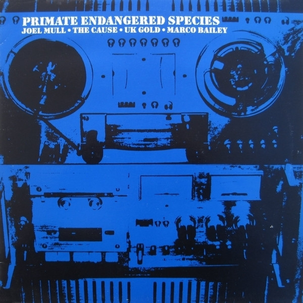 Various - Primate Endangered Species | Primate Endangered Species (APE001) - main
