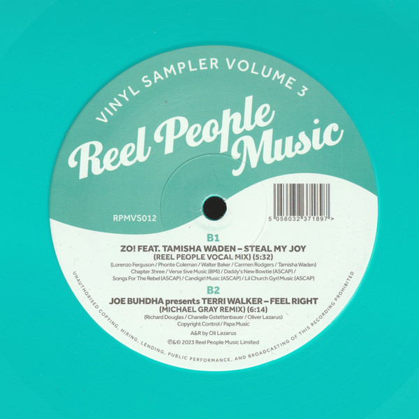 Various - Reel People Music Vinyl Sampler Volume 3 | Reel People Music (RPMVS012) - 3
