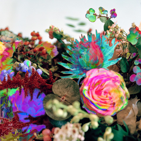 Darkstar - News From Nowhere | Warp Records (WARP LP 225)