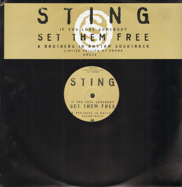 Sting - If You Love Somebody Set Them Free (A Brothers In Rhythm Soundtrack) | A&M Records (AMDJ3) - main