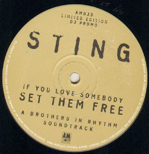 Sting - If You Love Somebody Set Them Free (A Brothers In Rhythm Soundtrack) | A&M Records (AMDJ3) - 2