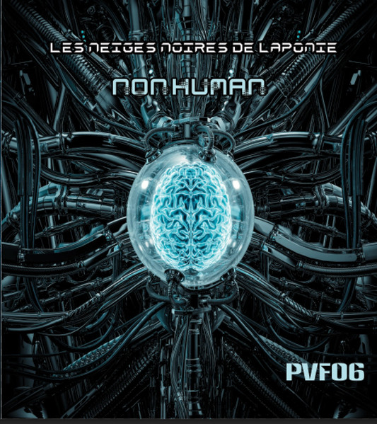 Les Neiges Noires De Laponie - Non Human | Plasma Vortex Frequency (PVF06)