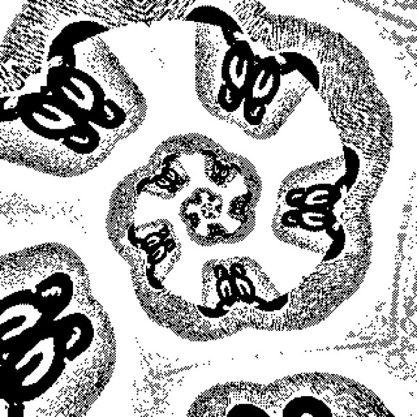 Otherworld - Mad Wee Light | Kit Records (none)