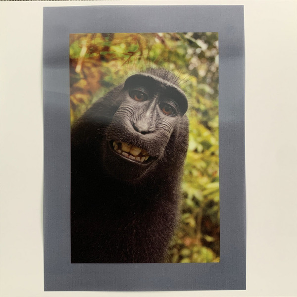 Joakim - Second Nature - Wild Mixes | Tigersushi (TSR 085)