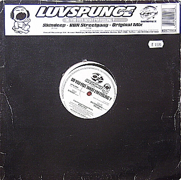 Luvspunge - Do You Feel What I'm Feeling? | Dance 2 Recordings (D2R 009) Luvspunge - Do You Feel What I'm Feeling? | Dance 2 Recordings (D2R 009)