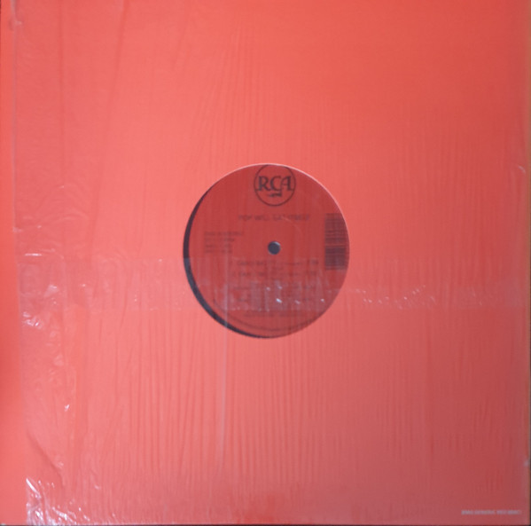 Pop Will Eat Itself - Can U Dig It? (The Justin Strauss Remix) | RCA (9001-1-RD) - 5