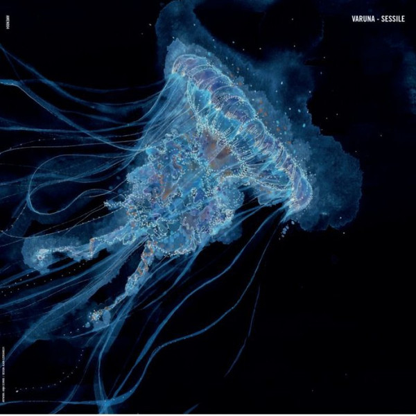 Varuna - Sessile | amenthia recordings (AMEN004)