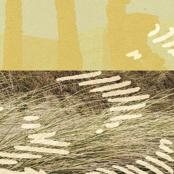 Parris - Terrapin EP | Wisdom Teeth (WSDM016) Parris - Terrapin EP | Wisdom Teeth (WSDM016)