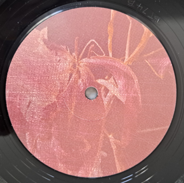 Serge Geyzel - As Fallen Leaves | Brokntoys (BT74)