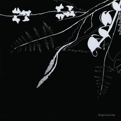 Digitaline - Rubicube / Belladone | Cadenza (CADENZA 07)