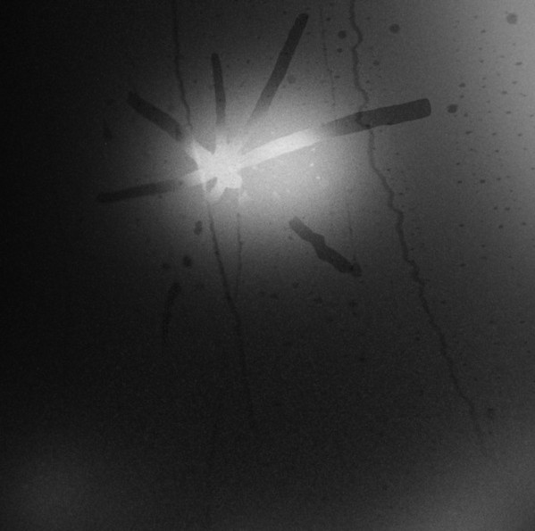 Touché Amoré - Spiral In A Straight Line | Rise Records (RISE 544-1) Touché Amoré - Spiral In A Straight Line | Rise Records (RISE 544-1)