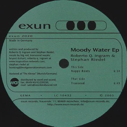 Roberto Q. Ingram & Stephan Riedel - Moody Water Ep | Exun (exun 2020)