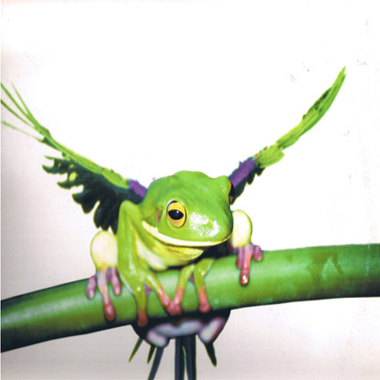 Various - Trip Do Brasil 2 - EP1 | RYTHMiX (6705856/000) - main