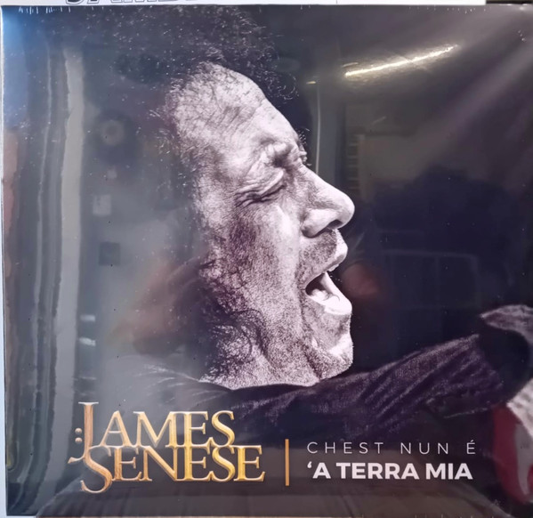 James Senese - Chest Nun è ‘a Terra Mia | Area Live (AL001074) James Senese - Chest Nun è ‘a Terra Mia | Area Live (AL001074)