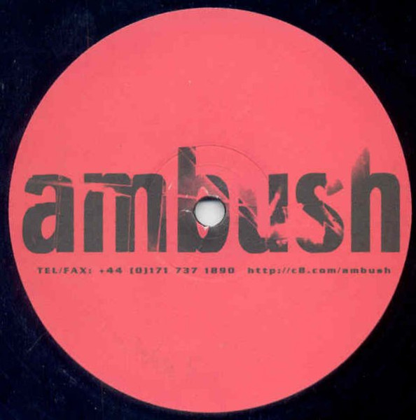 Din-St - In The Case Of… | Ambush (ambush 07) - 2