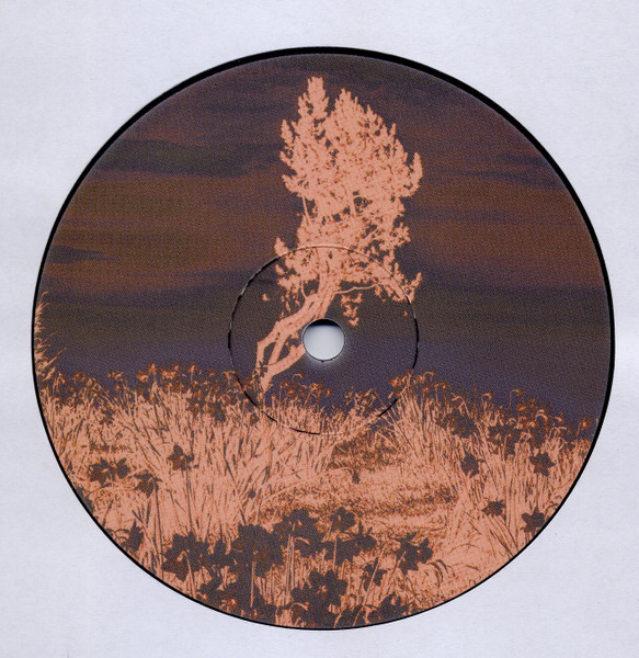 Boulderhead - Alien Groove Extractor | SITU Records (SITU-666) - 2