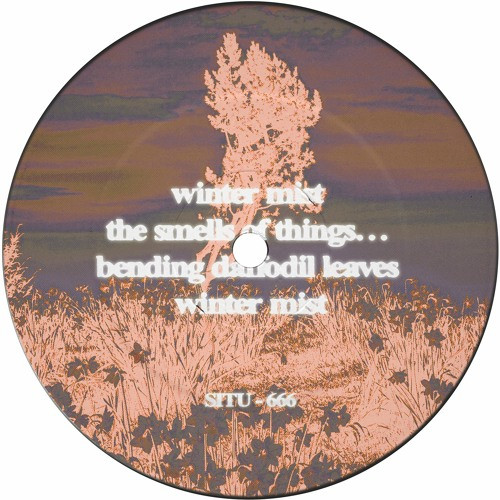 Boulderhead - Alien Groove Extractor | SITU Records (SITU-666)