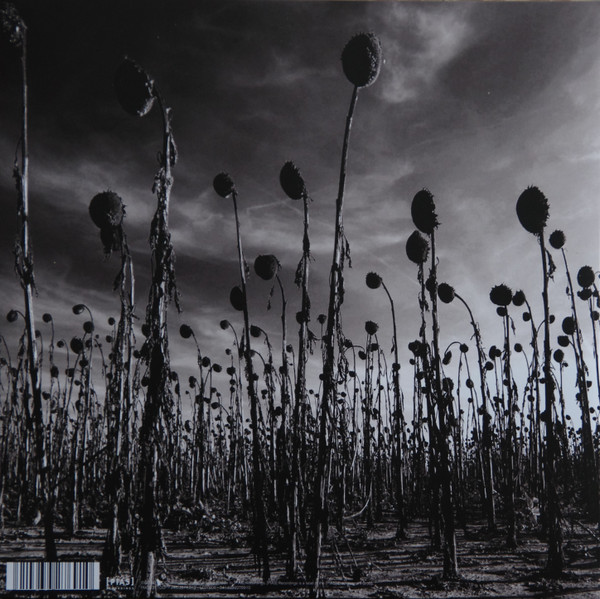 Dead Can Dance - Anastasis | [PIAS] Recordings (PIASR311DLP) - 3