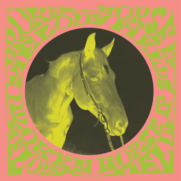 Melody Fields - Broken Horse | Coop Records Gotland (COOPRECORDS002) - main