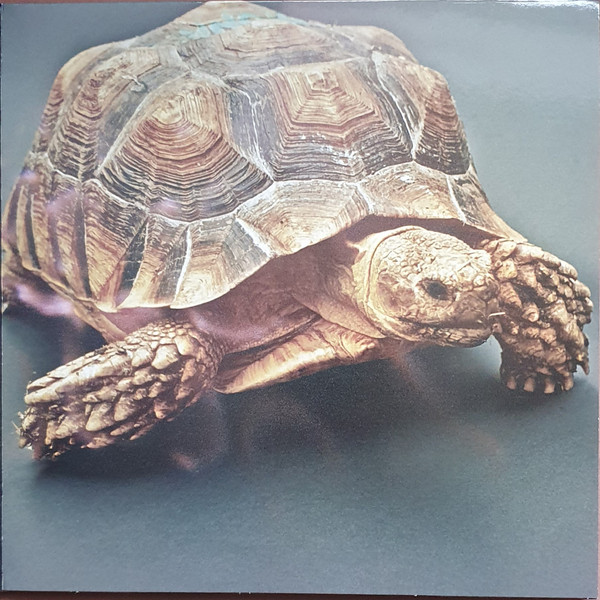 Aldous Harding - Warm Chris | 4AD (4AD0391LP) - 3