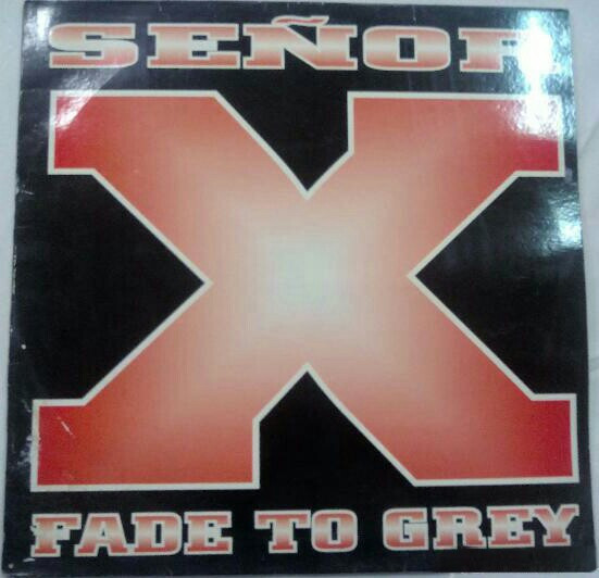Señor X - Fade To Grey | Paradance (74321 29641 1)