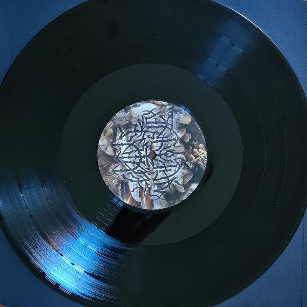 Lady Neptune - NOZ | NIGHT SCHOOL (LSSN 082) - 3