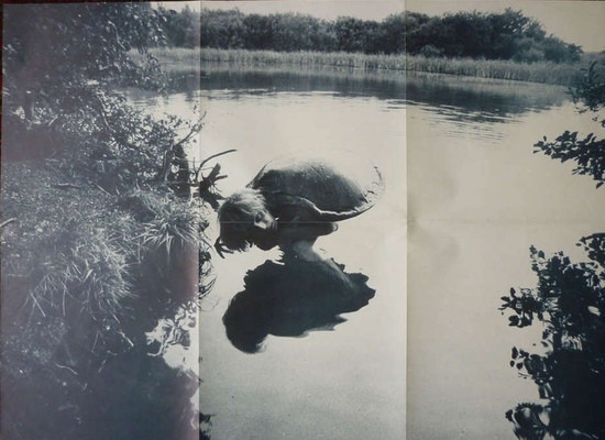 Julian Cope - Fried | Mercury (MERL 48) - 7