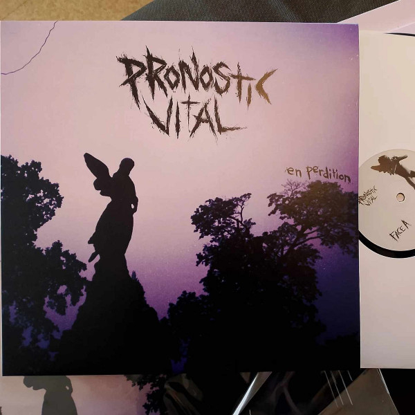 Pronostic Vital - en perdition | Prix Libre Record (PRNV001) - 2