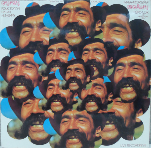 Rudolf Víg - Magyarországi Cigány Népdalok = Gypsy Folk Songs From Hungary | Hungaroton (SLPX 18028-29)