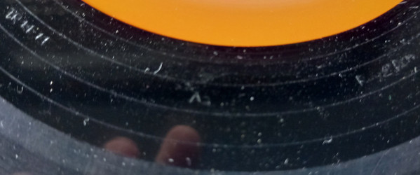 Soul Capsule - Overcome | Trelik (TR/11:11) - 2