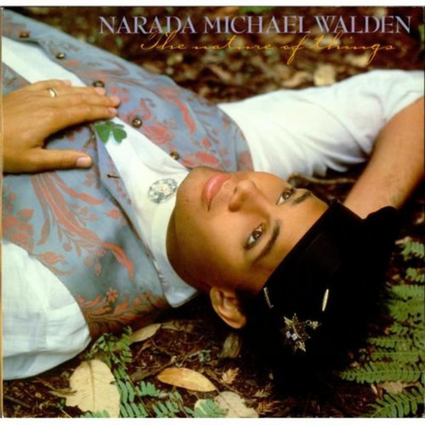 Narada Michael Walden - The Nature Of Things | Warner Bros. Records (92 5176-1) - main