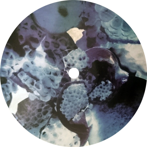 Foals - Total Life Forever | Warner Bros. Records (5051865913900) - 3
