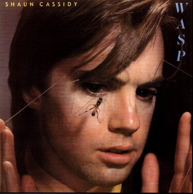 Shaun Cassidy - Wasp | Warner Bros. Records (WB 56 841)