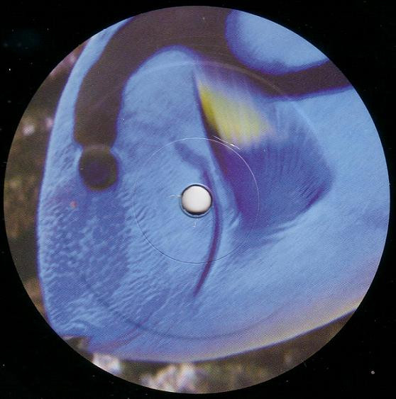 Luc Ringeisen - Moody EP | Movida Records (movida008) - 4 Luc Ringeisen - Moody EP | Movida Records (movida008) - 4