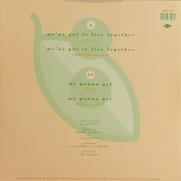 R.A.F. - We've Got To Live Together | PWL Continental (PWLT 218) - 2 R.A.F. - We've Got To Live Together | PWL Continental (PWLT 218) - 2