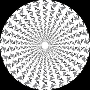 Enzo Siragusa , Nima Gorji - Foreal EP | Fuse London (FUSE031)