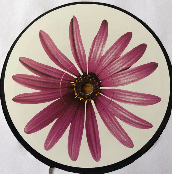 Gabriel Ananda - Süssholz | Treibstoff (Treibstoff #43) - 4