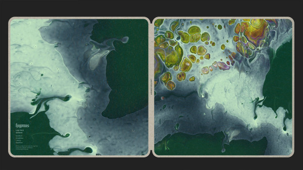 Luigi Tozzi - Sentient | Hypnus Records (HYPNUS043) - 3