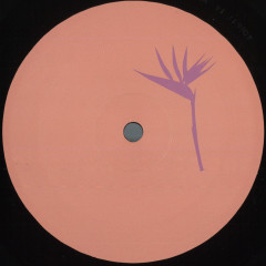 Daniel Meister - Lanao Izany EP | Purple Print (PRP016)