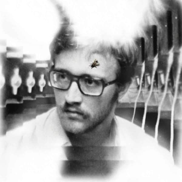 Damaged Bug - Bug On Yonkers | Castle Face (CF123)