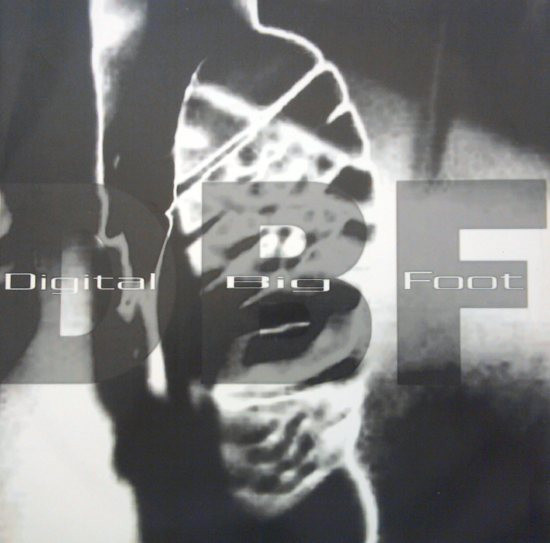 Digital Big Foot - Untitled | Patschwork Production (PWP PLM 002)