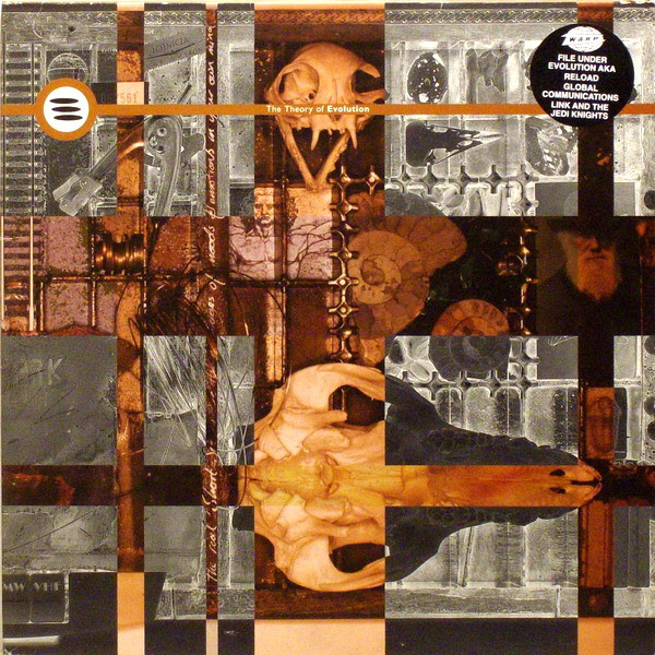 Various - The Theory Of Evolution | Warp Records (WARPLP29)