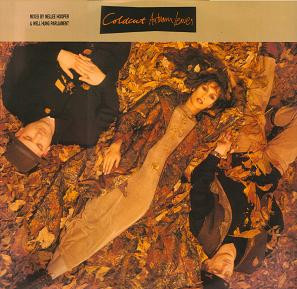 Coldcut - Autumn Leaves | Arista (74321 17105 1)