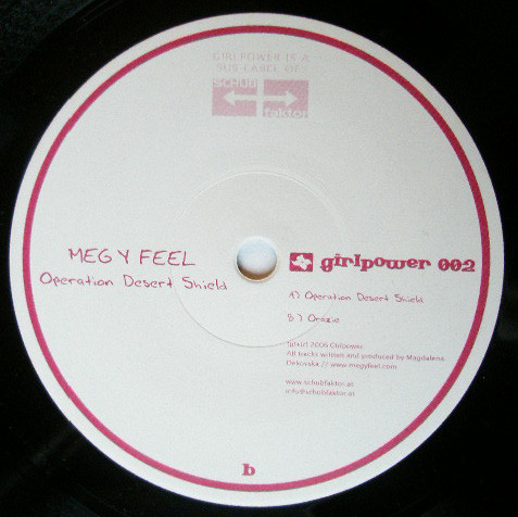 Operation Desert Shield