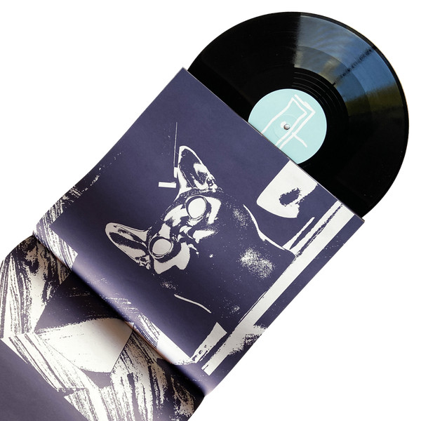 Safe Camp - <><> / [o] | Safe Trip (ST-POP 1) - 3